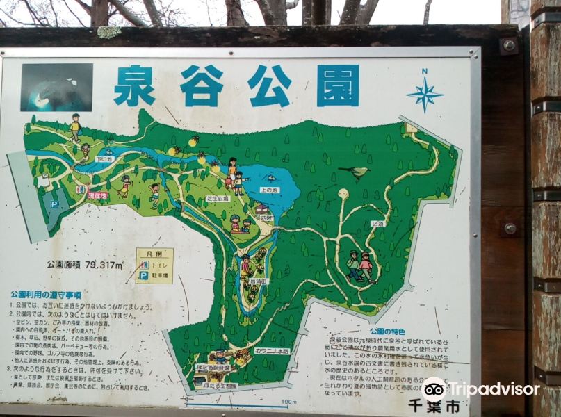 Izumiya Park旅游景点图片