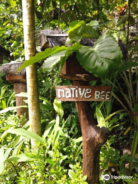 Honeybee Farm & Luwak Coffee Agrotourism旅游景点图片