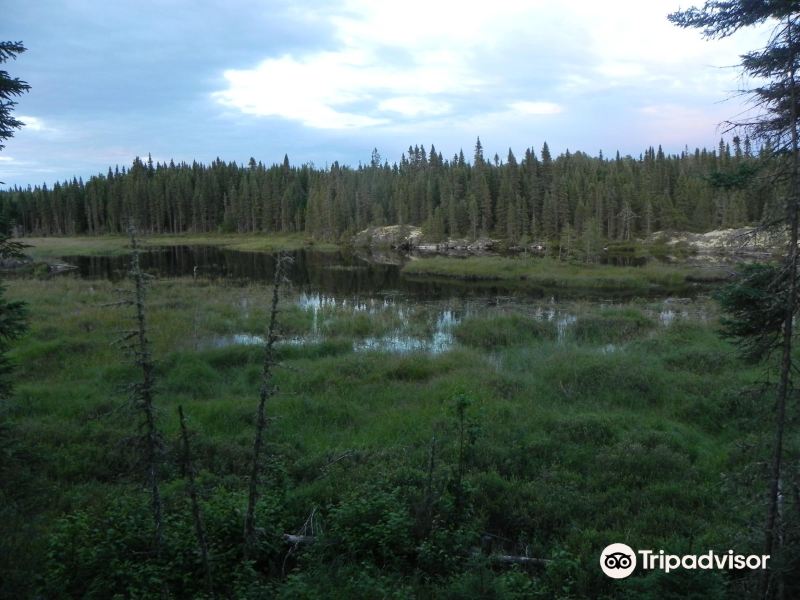 2024Chapleau Crown Game Preserve旅游攻略门票地址问答游记点评，Sudbury