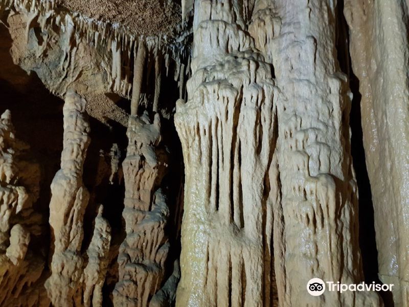 Geofizicheskaya Cave旅游景点图片