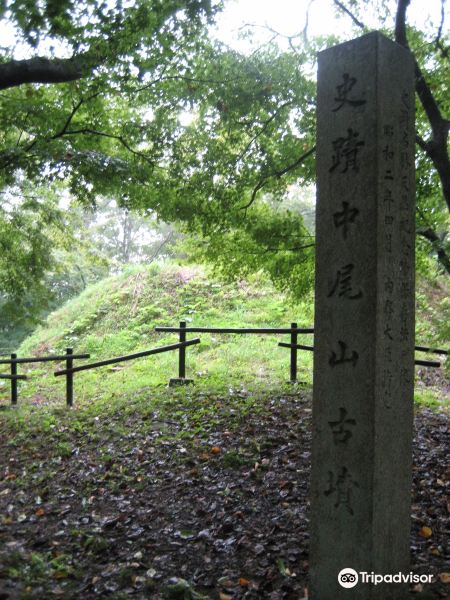 Nakaoyama Ancient Tomb旅游景点图片