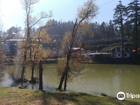 Gwaldam Lake