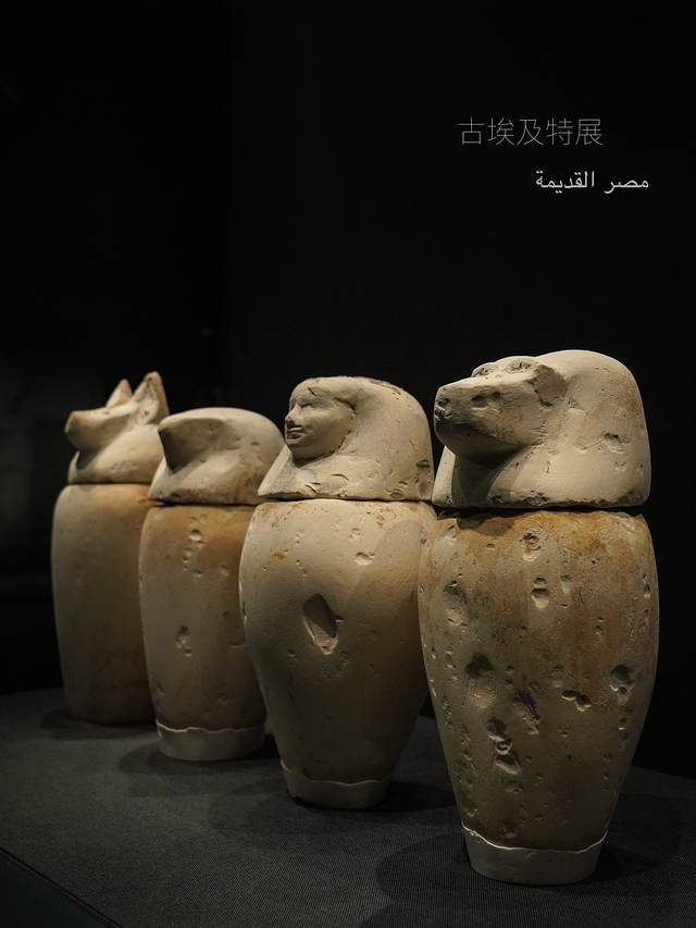 遇见博物馆·成都馆