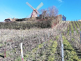 Le Moulin de Verzenay