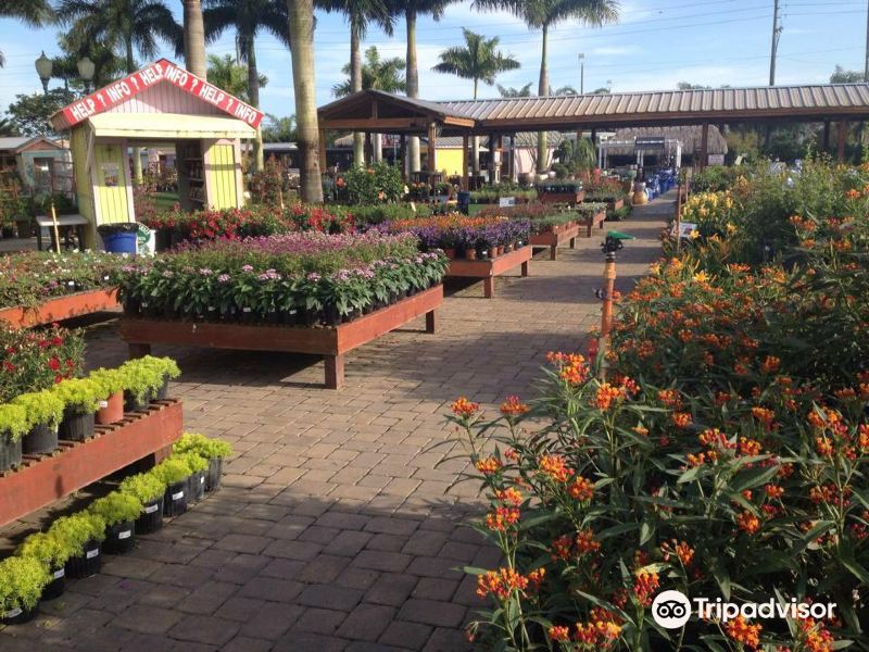 Butterfly Pavilion at Flamingo Road Nursery旅游景点图片