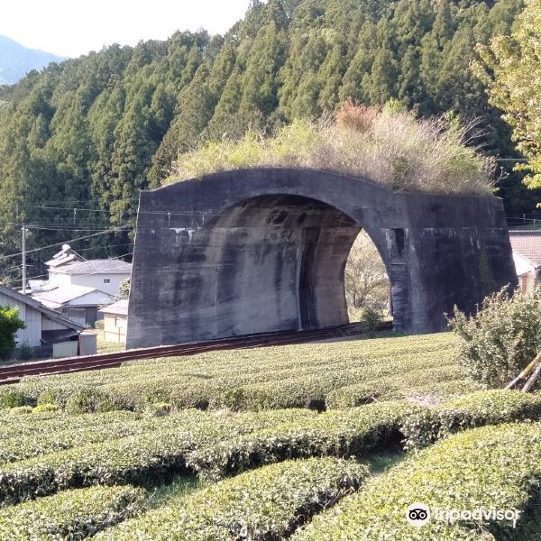 Nihonichi Mijikai Tunnel旅游景点图片