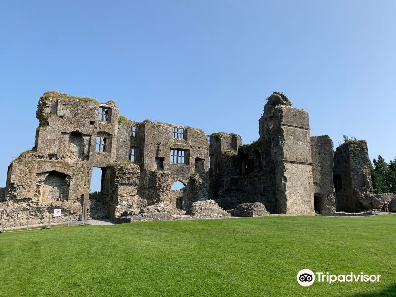 Roscommon Castle旅游景点图片