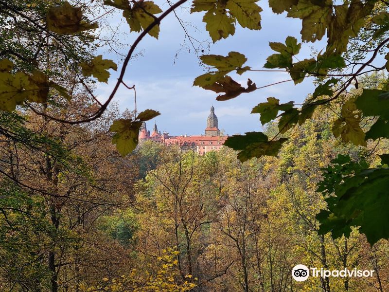 Książ Landscape Park旅游景点图片