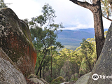 Bunyip State Park