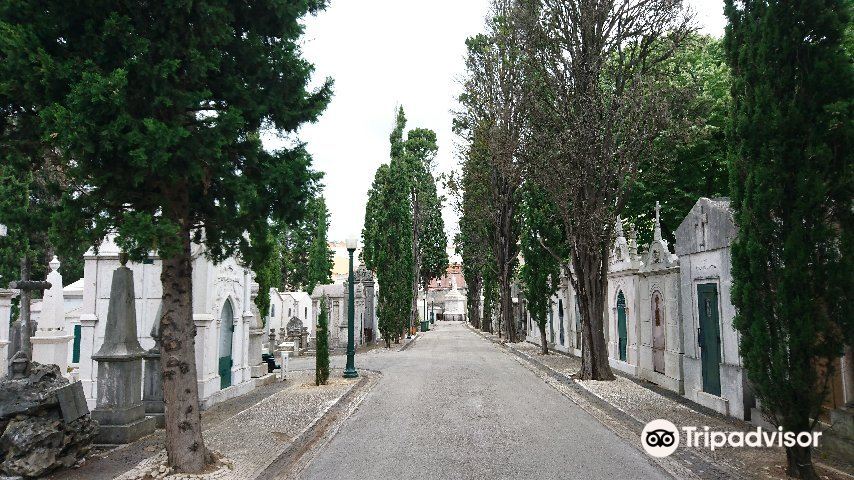 Cemiterio dos Prazeres旅游景点图片