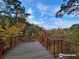 Książ Landscape Park