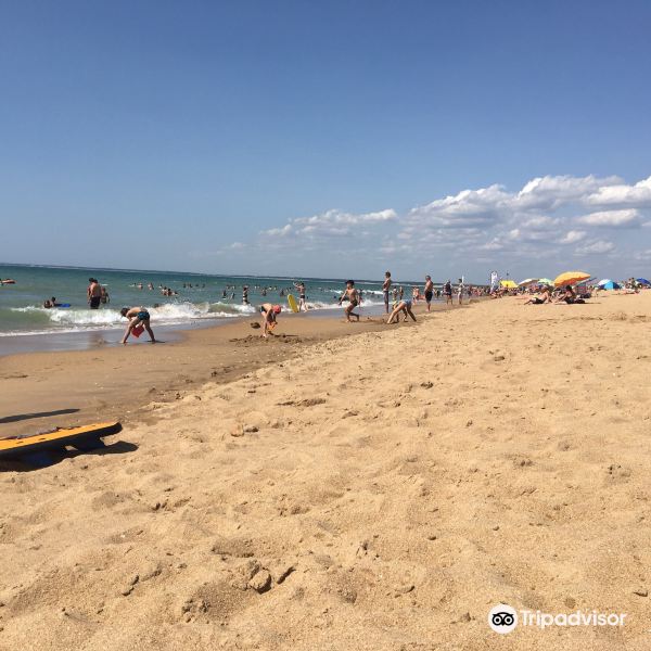 Plage de la Terrière旅游景点图片