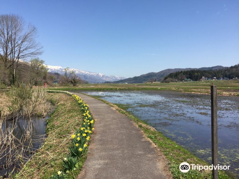 姫川源流自然探勝園旅游景点图片