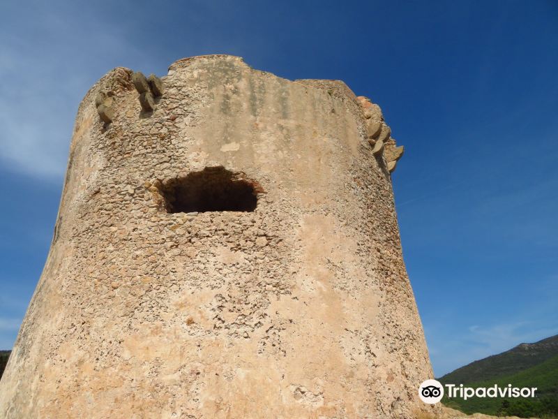 Torre del Tramariglio旅游景点图片