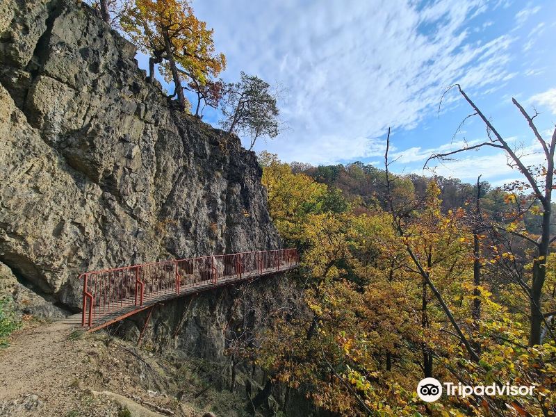 Książ Landscape Park旅游景点图片