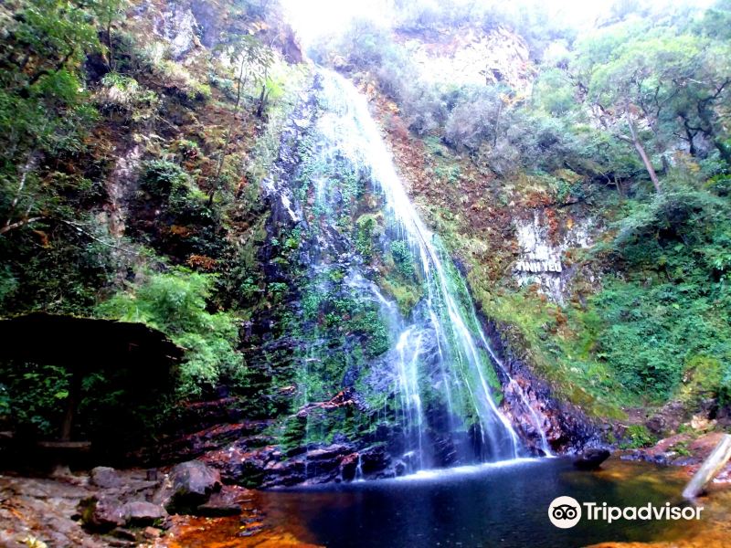 Love Waterfall旅游景点图片