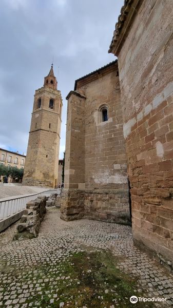 Catedral de Barbastro旅游景点图片