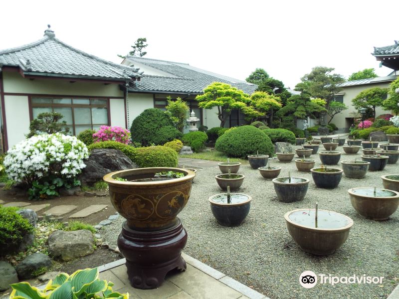 2023要法寺旅游攻略门票地址问答游记点评，平冢市旅游旅游景点推荐去哪儿攻略