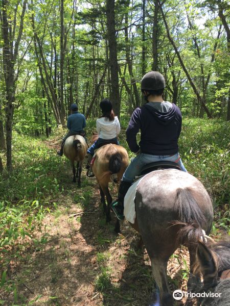 Kushiro Fureai Horse Park旅游景点图片