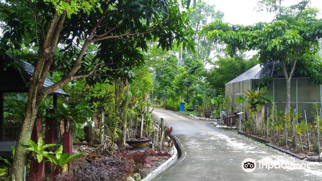 Taman Orkid Seremban旅游景点图片