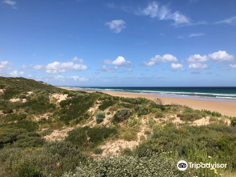 Beach No 2旅游景点图片