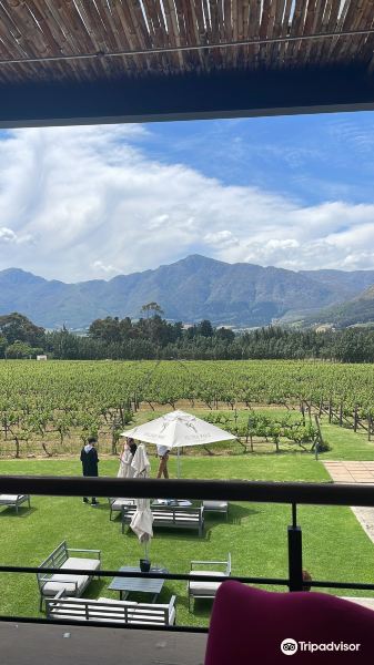 Holden Manz Wine Estate旅游景点图片