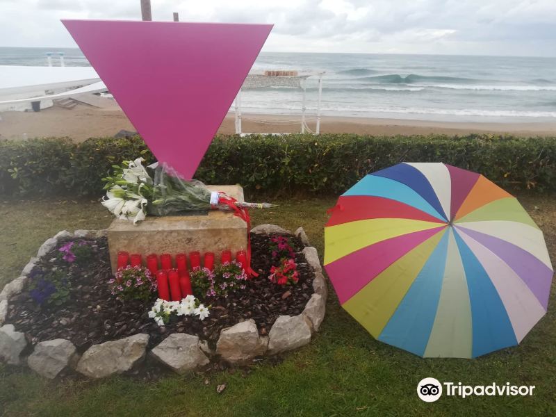Pink Triangle Monument Against Homophobia旅游景点图片