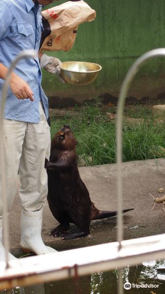 Iida City Zoo旅游景点图片