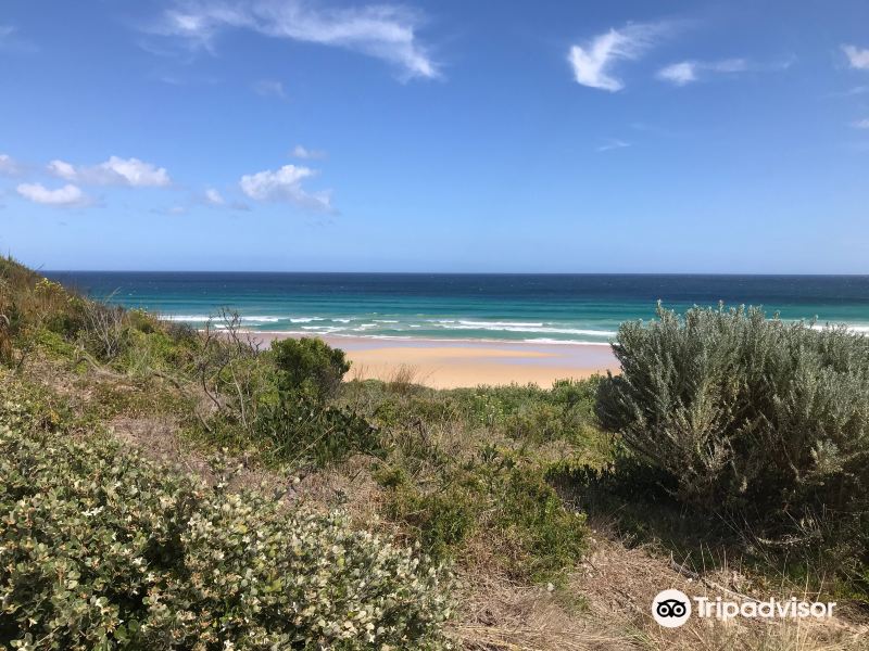 Beach No 2旅游景点图片