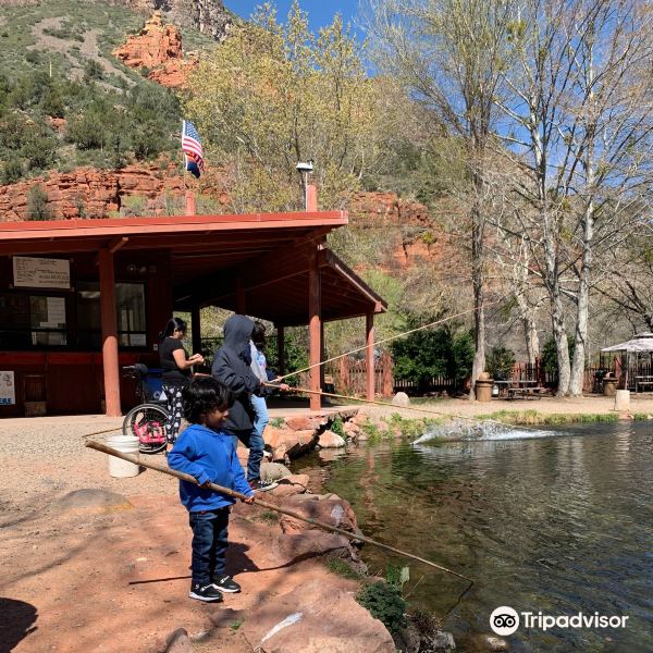 2024Sedona's Rainbow Trout Farm旅游攻略门票地址问答游记点评，科科尼诺旅游旅游景点推荐去哪儿攻略