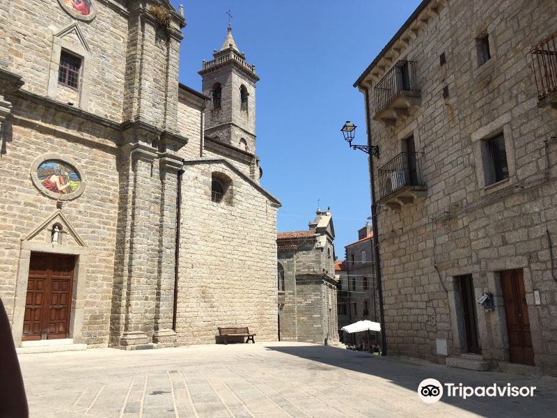 Cattedrale di San Pietro旅游景点图片