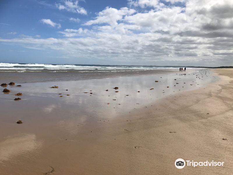 Venus Bay No4 Beach Rd旅游景点图片