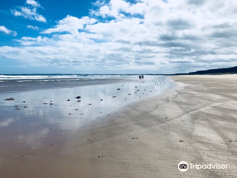 Venus Bay No4 Beach Rd旅游景点图片