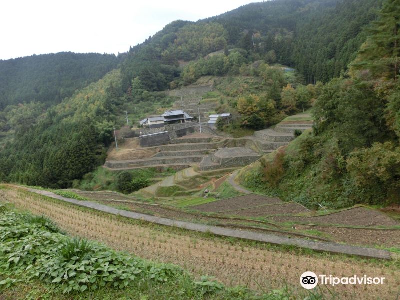 Izumidani Terraces旅游景点图片