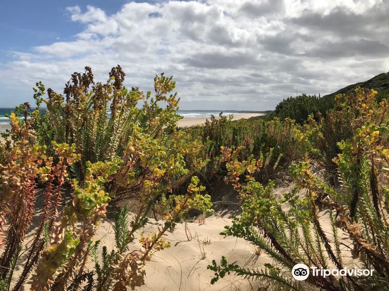 Venus Bay No4 Beach Rd旅游景点图片