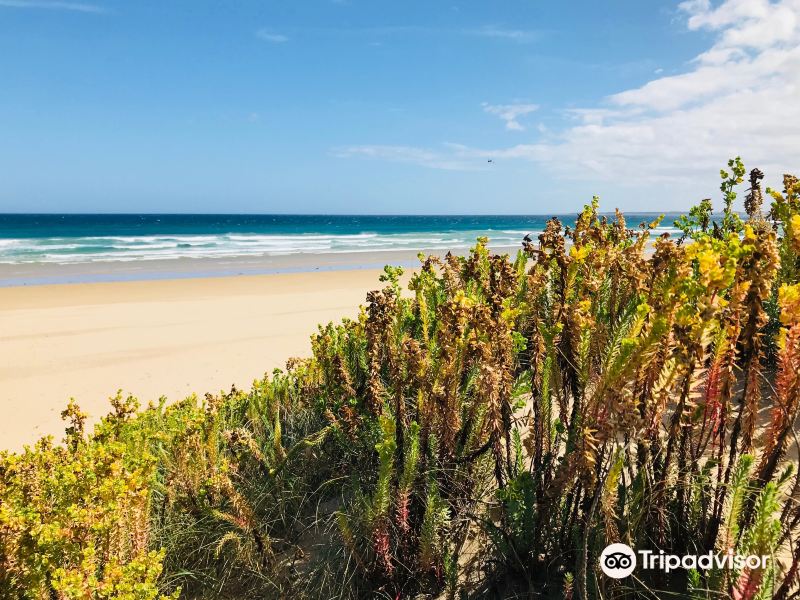 Venus Bay No4 Beach Rd旅游景点图片