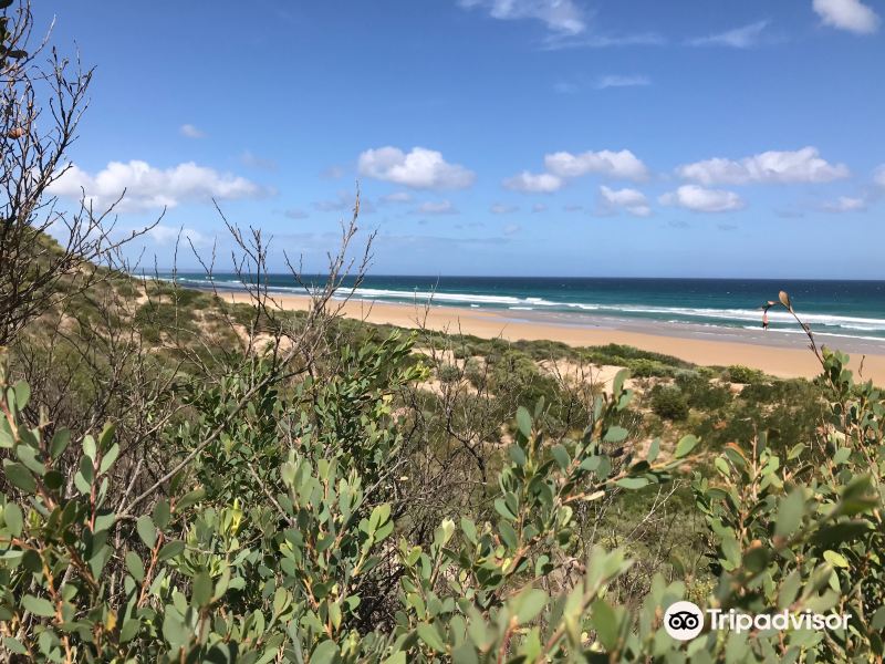 Beach No 2旅游景点图片