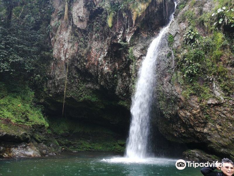 Cascada las Brisas旅游景点图片