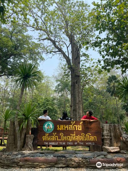 Sak Yai Forest Park旅游景点图片
