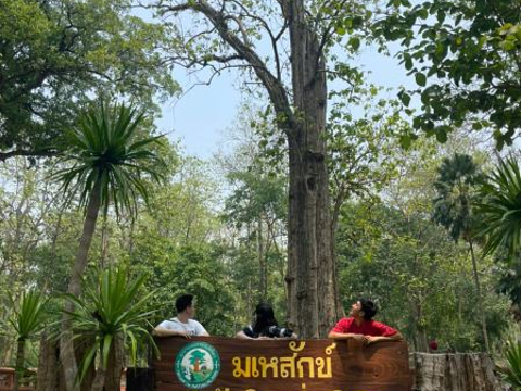 Sak Yai Forest Park的图片