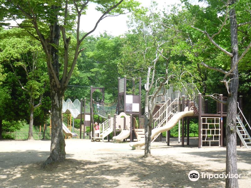 Shirotopia Memorial Park旅游景点图片