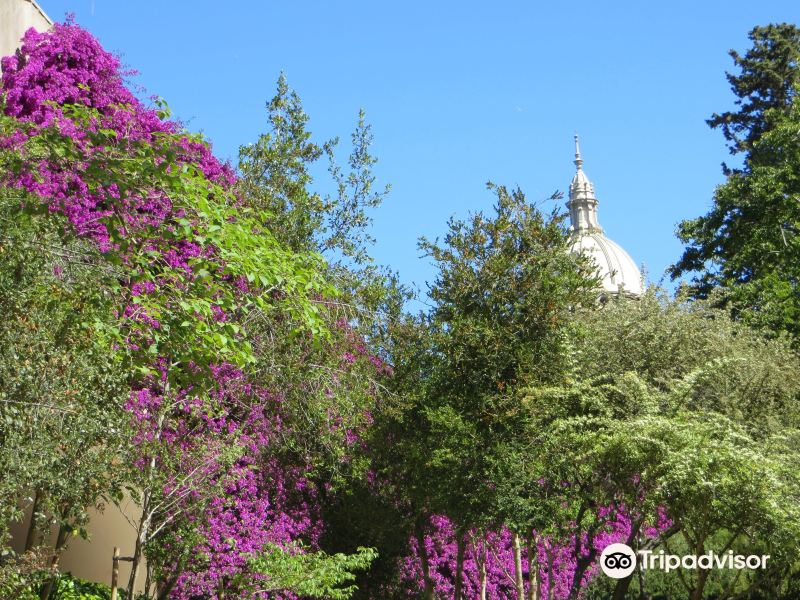 巴塞罗那植物园旅游景点图片