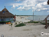 Playa Punta Chiqueros