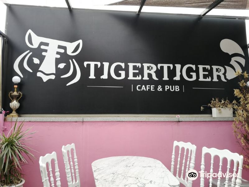 Tiger Tiger旅游景点图片