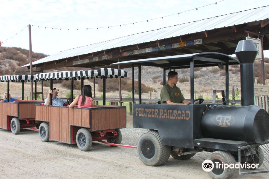 Peltzer Pumpkin Farm | OPENING DAY September 23rd旅游景点图片