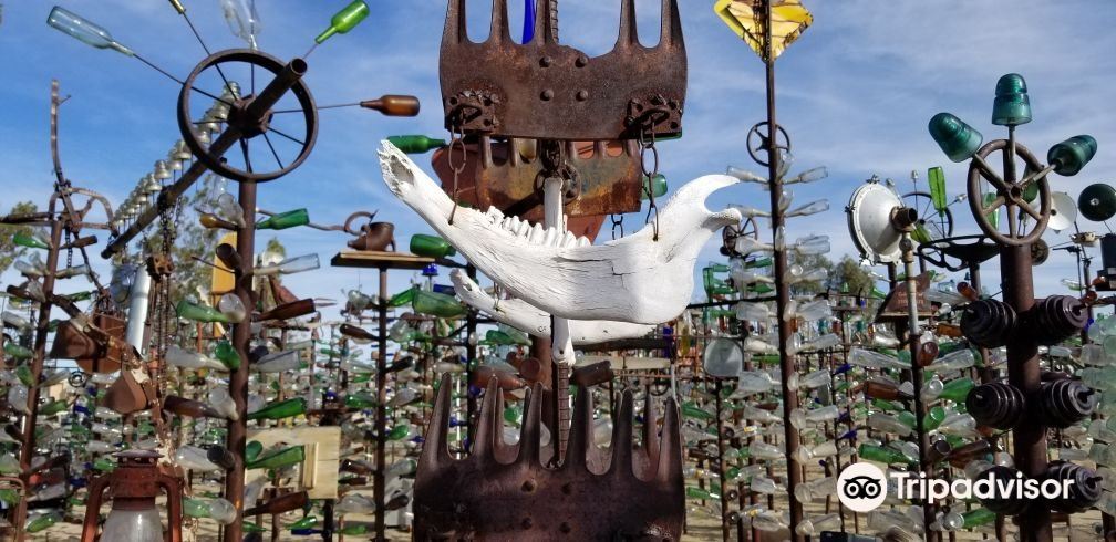 Elmer's Bottle Tree Ranch旅游景点图片