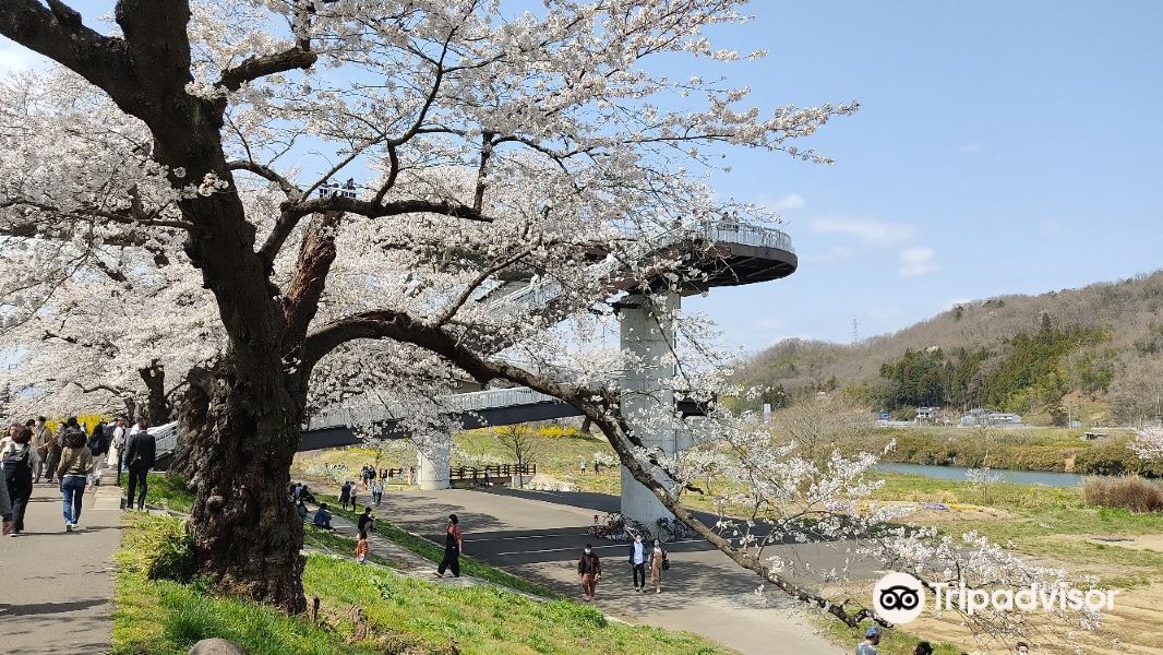 Shibata Senokyo Bridge旅游景点图片