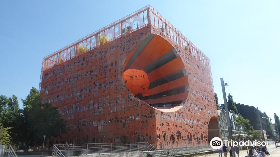 Cube Orange旅游景点图片