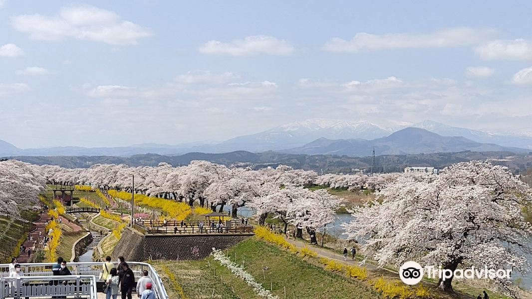 Shibata Senokyo Bridge旅游景点图片