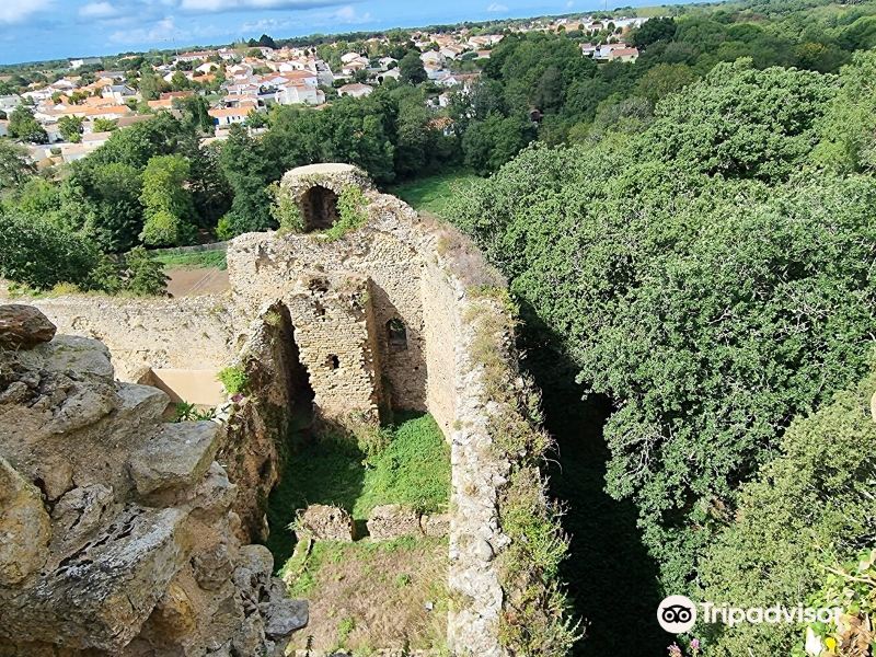 Chateau de Talmont-Saint-Hilaire旅游景点图片